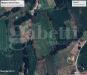 Terreno Agricolo in vendita a Gallese - 02, Rita Cup.jpg