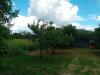 Terreno Edificabile in vendita a Civita Castellana - 06, 1000095520.jpg