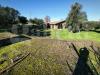 Villa in vendita a Gallese - 02, IMG_20240112_112933.jpg