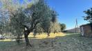 Terreno Agricolo in vendita a Civita Castellana - 04, image5.jpeg