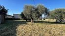 Terreno Agricolo in vendita a Civita Castellana - 05, image6.jpeg