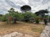 Villa in vendita con giardino a Martina Franca - 03, alberi 4.jpg