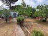 Villa in vendita con giardino a Martina Franca - 04, alberi.jpg