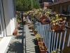Appartamento bilocale in vendita ristrutturato a Rapallo - 04, IMG_20260611_105718.jpg