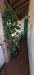 Casa indipendente in vendita con giardino a Vinci - vitolini - 05