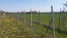 Terreno Agricolo in vendita a Piossasco - 10, 10.jpeg