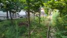 Terreno Agricolo in vendita a Beinasco - 06, WhatsApp Image 2026-06-11 at 13.45.05 (2).jpeg