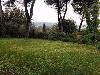 Villa in vendita con giardino a Terni - 10, 1004984904.jpg