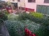 Villa in vendita con giardino a Terni - 05, WhatsApp Image 2026-03-17 at 17.22.15 (4).jpeg