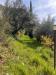 Casa indipendente in vendita con giardino a Terni - 03, WhatsApp Image 2026-04-10 at 11.29.00 (8).jpeg
