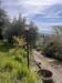 Villa in vendita con giardino a Terni - 09, image00001.jpeg