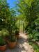 Appartamento in vendita con giardino a Terni - 05, image00004.png