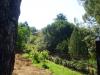Casa indipendente in vendita con giardino a Rocca Massima - 02