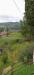 Rustico in vendita con giardino a Pelago - borselli - 07