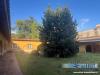 Villa in vendita con giardino a Massa - viali - 03