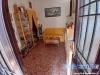 Casa indipendente in vendita con giardino a Massa - zecca - 04
