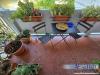 Appartamento in vendita con terrazzo a Carrara - marina di - 06