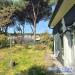 Casa indipendente in vendita con giardino a Massa - ricortola - 05