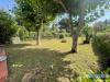 Casa indipendente in vendita con giardino a Massa - ronchi - 02