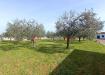 Villa in vendita con giardino a Aprilia - 06, Immagine5.jpg