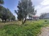 Rustico in vendita con giardino a San Giovanni a Piro - 05, WhatsApp Image 2025-04-01 at 12.43.54.jpeg