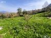 Casa indipendente in vendita con giardino a Celle di Bulgheria - 09, 5c430dd6-9024-4499-9c94-b2a9be12dddf.jpg