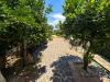 Appartamento in vendita con giardino a San Giovanni a Piro - 06, 9a66fd11-7453-46aa-8a18-cfb3708e925a.jpg