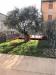 Appartamento bilocale in vendita con giardino a Venafro - 03, WhatsApp Image 2022-09-10 at 12.36.08.jpeg