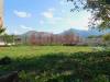 Villa in vendita con giardino a Venafro - 10, DSCN3237.JPG
