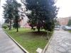 Appartamento in vendita a Torino - 02, via castelgomberto 3 locali gabetti vendita piano