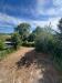 Casa indipendente in vendita con giardino a Corbola - 04, 8ae6fa4d-8cf0-46ce-a2dd-5967fde5ba04.jpg