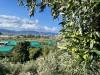 Terreno Agricolo in vendita a Terme Vigliatore - 08, IMG_5057.jpg