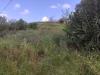 Terreno Agricolo in vendita a Castroreale - 02, 1000017545.jpg