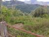 Terreno Agricolo in vendita a Castroreale - 03, 1000017565.jpg