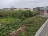 Terreno Agricolo in vendita a Terme Vigliatore - 02, 1745403676796.jpg