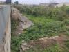 Terreno Agricolo in vendita a Terme Vigliatore - 03, 1745403676835.jpg