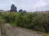 Terreno Agricolo in vendita a Terme Vigliatore - 04, 1745403676873.jpg