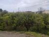 Terreno Agricolo in vendita a Terme Vigliatore - 06, 1745403676950.jpg
