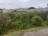 Terreno Agricolo in vendita a Terme Vigliatore - 07, 1745403676989.jpg