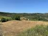 Terreno Agricolo in vendita a Basic - 02, IMG_0256.jpg