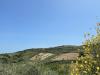 Terreno Agricolo in vendita a Basic - 05, IMG_0262.jpg