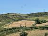 Terreno Agricolo in vendita a Basic - 06, IMG_0264.jpg