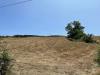 Terreno Agricolo in vendita a Basic - 07, IMG_0267.jpg