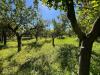 Terreno Agricolo in vendita a Barcellona Pozzo di Gotto - 04, WhatsApp Image 2026-05-11 at 09.41.5310.jpeg