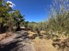 Villa in vendita con giardino a Barcellona Pozzo di Gotto - 04, 1788257252551.jpg