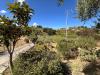Villa in vendita con giardino a Barcellona Pozzo di Gotto - 05, 1788257252768.jpg