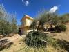 Villa in vendita con giardino a Barcellona Pozzo di Gotto - 09, 1788257253301.jpg