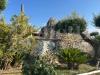 Terreno Agricolo in vendita a Canosa di Puglia - 02, WhatsApp Image 2025-06-24 at 20.26.22 (1).jpeg