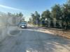 Villa in vendita con box a Canosa di Puglia - 09, WhatsApp Image 2025-07-01 at 20.15.46.jpeg