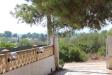 Villa in vendita a Avetrana - 09, IMG_3601.JPG